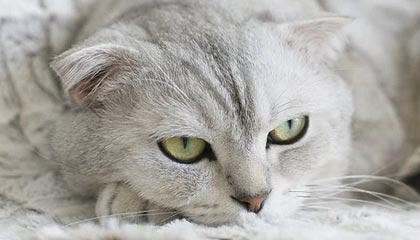 乐鱼体育：让运动成为生活的快乐原力